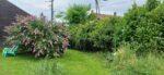 Private garden