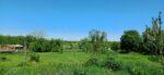 The garden 2