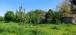 The garden 3